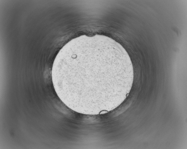 X0000111130624200907281052