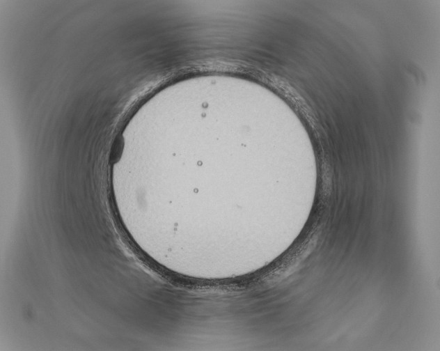 X0000111130625200907281051