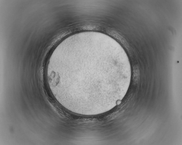 X0000111130626200907281051
