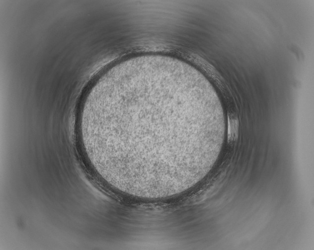 X0000111130627200907281051