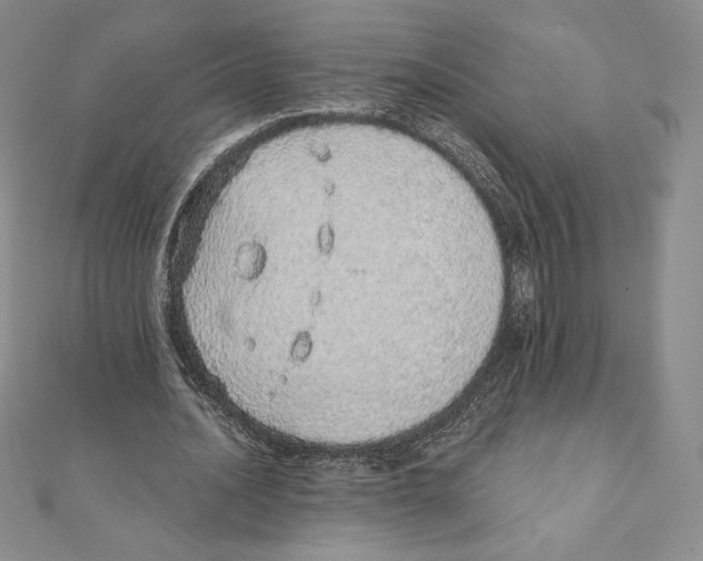 X0000111130628200907281051