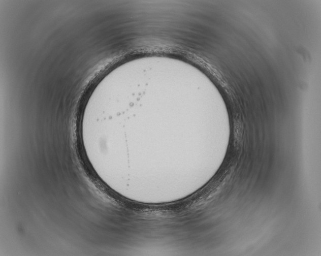 X0000111130629200907281051