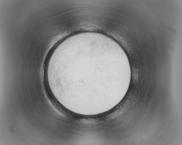 X0000111130630200907281051