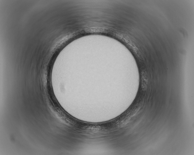 X0000111130631200907281052