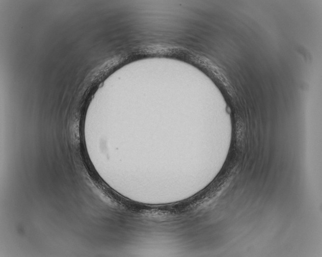 X0000111130633200907281052