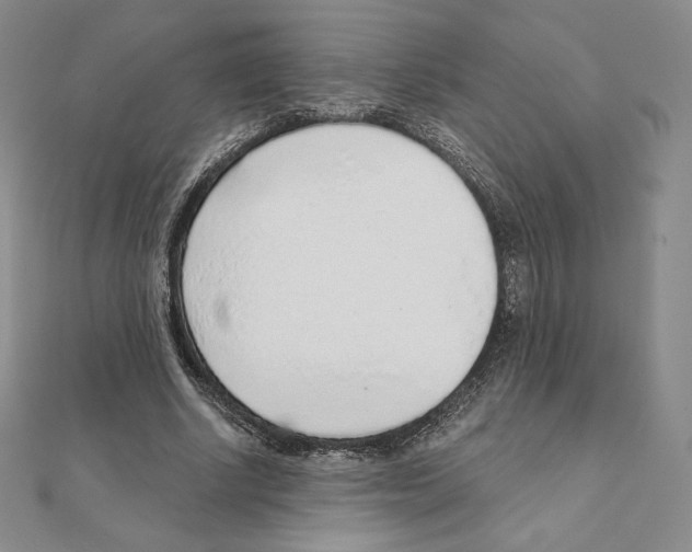 X0000111130634200907281052