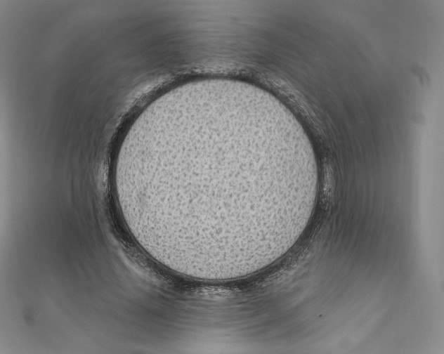 X0000111130636200907281052