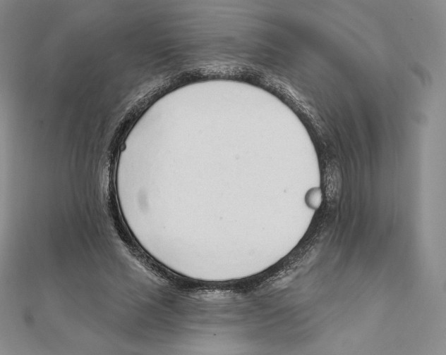 X0000111130637200907281052