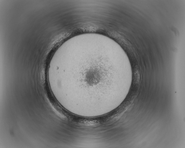 X0000111130638200907281052