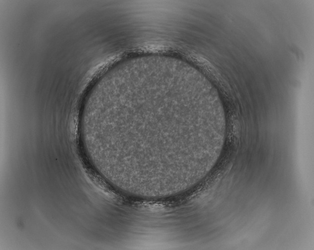 X0000111130640200907281052