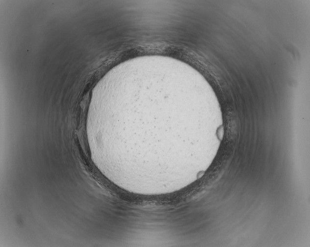 X0000111130641200907281052