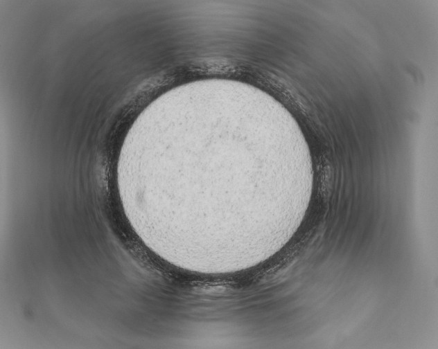 X0000111130643200907281052