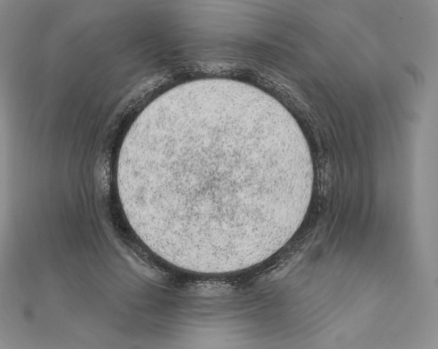 X0000111130644200907281052