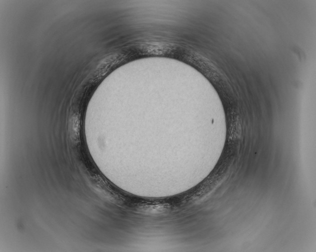 X0000111130646200907281052