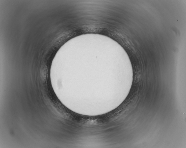 X0000111130647200907281052