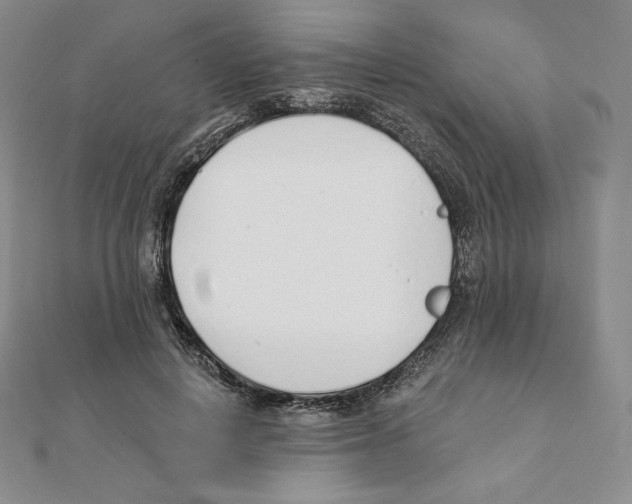 X0000111130648200907281052