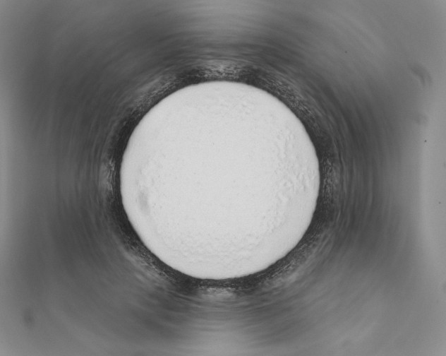 X0000111130649200907281052