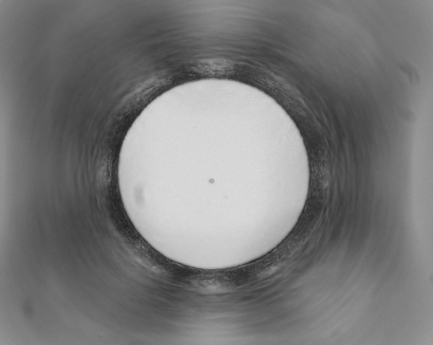 X0000111130652200907281052