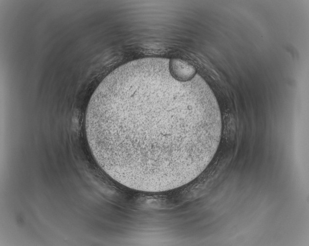 X0000111130655200907281052