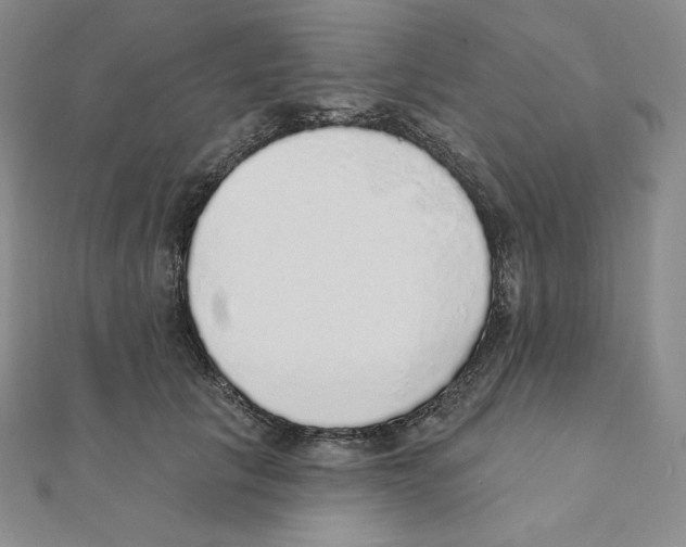 X0000111130657200907281052
