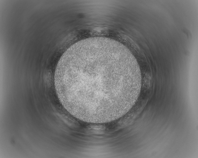X0000111130659200907281052