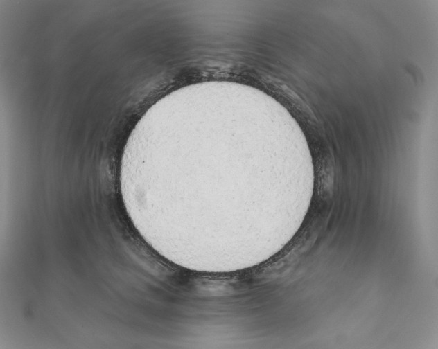 X0000111130661200907281052