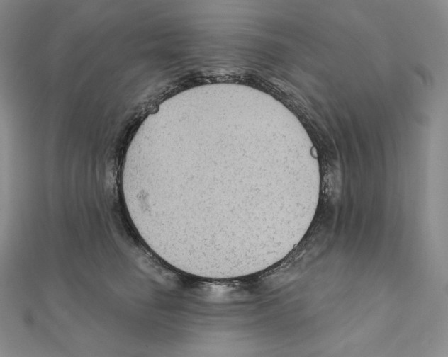 X0000111130662200907281052