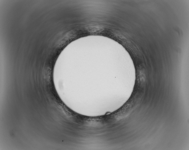 X0000111130664200907281052