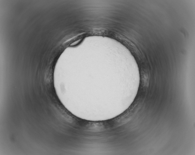 X0000111130665200907281052
