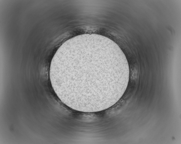 X0000111130666200907281052