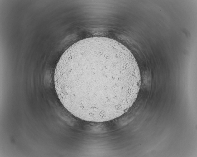 X0000111130667200907281052
