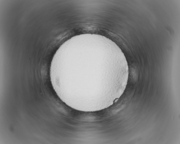 X0000111130668200907281052