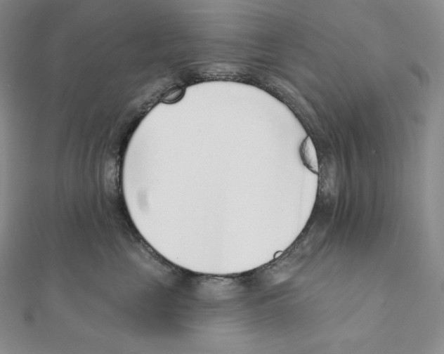 X0000111130669200907281052