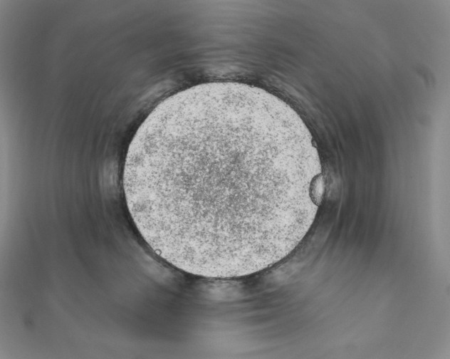 X0000111130670200907281052