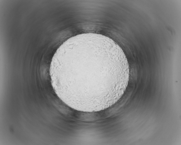 X0000111130671200907281052
