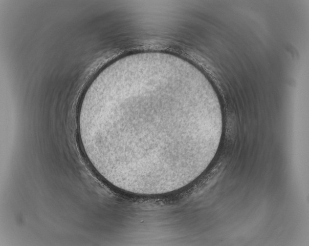 X0000111130673200907281051