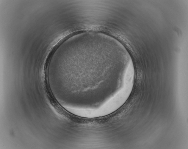 X0000111130674200907281051