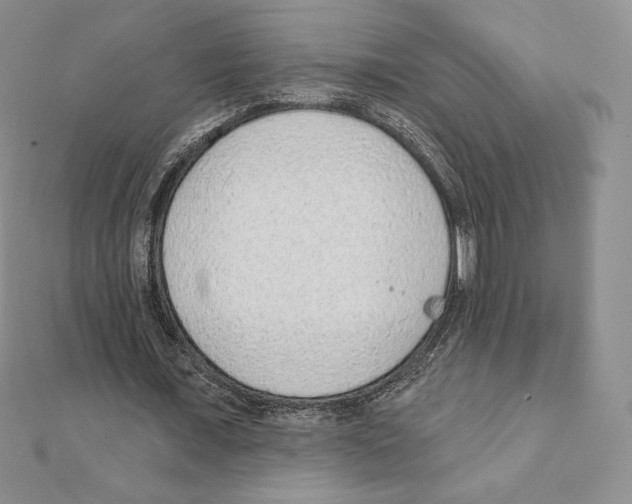 X0000111130675200907281051