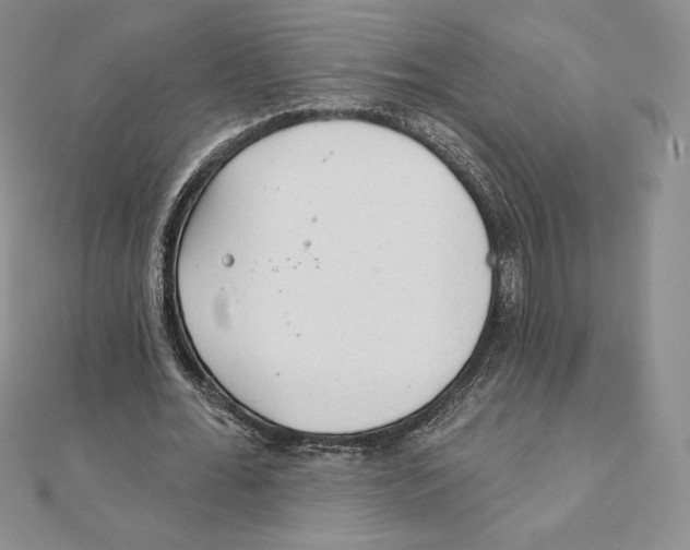 X0000111130676200907281051