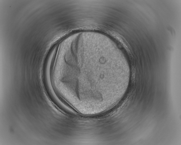 X0000111130677200907281051