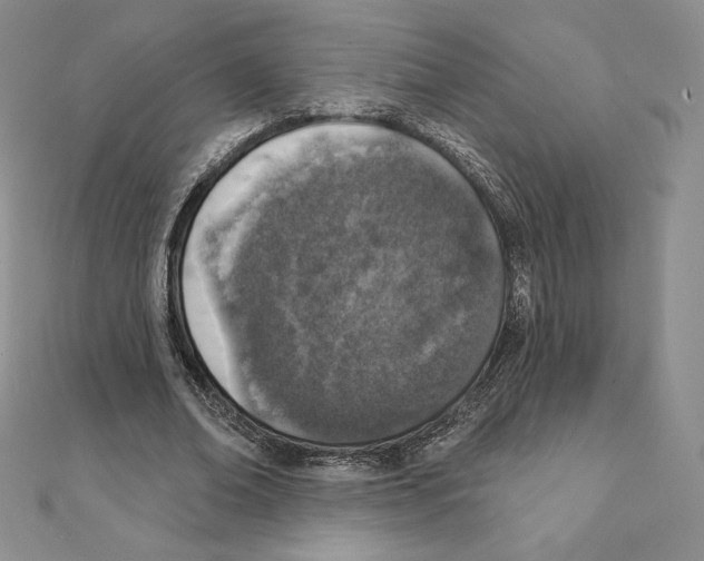 X0000111130678200907281051