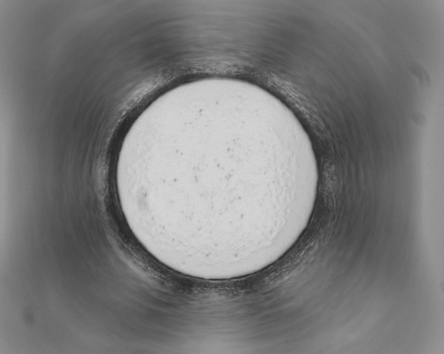 X0000111130679200907281051