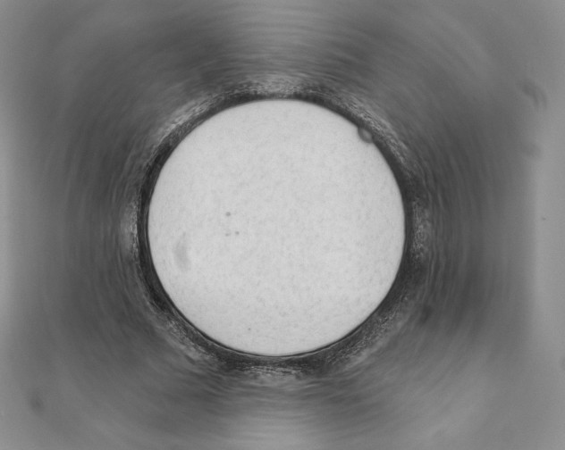 X0000111130681200907281051
