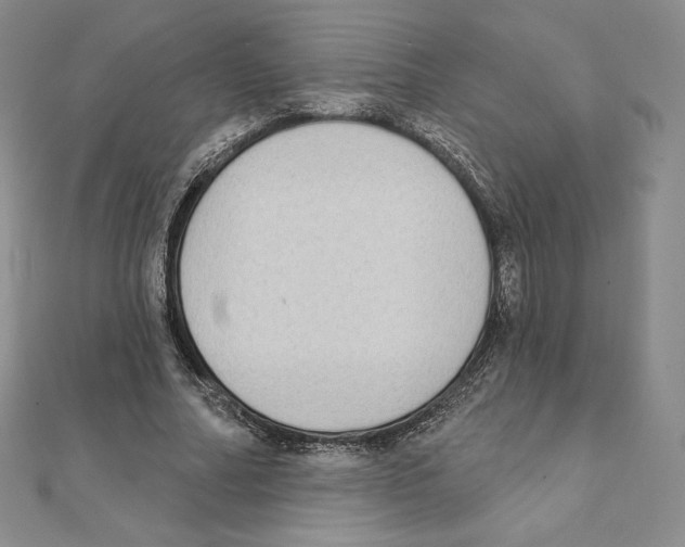 X0000111130682200907281051