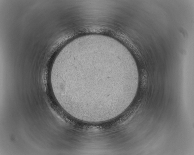 X0000111130683200907281051
