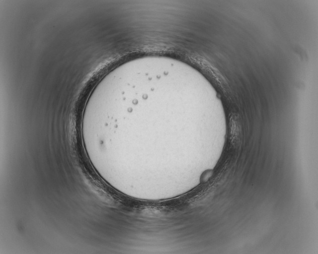 X0000111130684200907281051