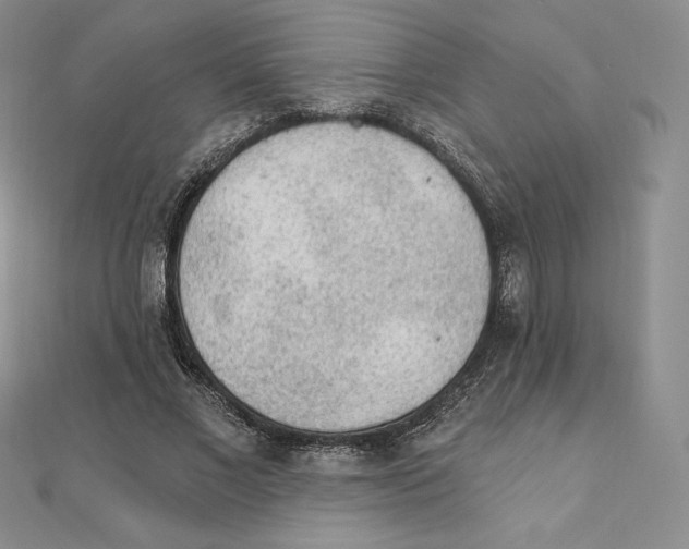 X0000111130685200907281051