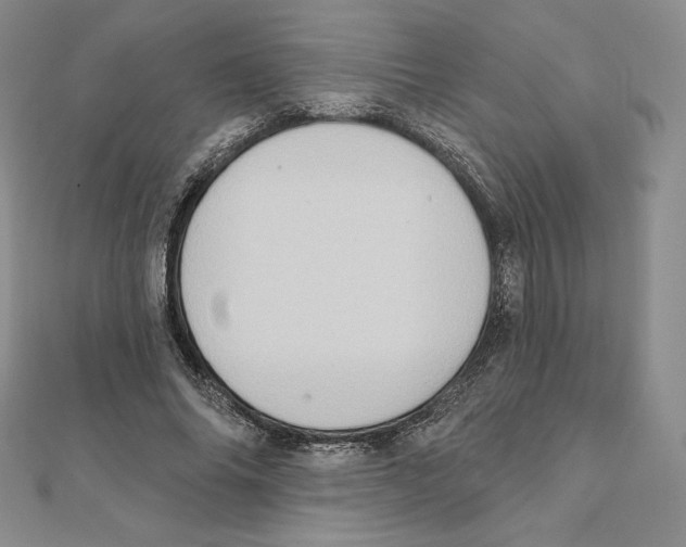 X0000111130686200907281051