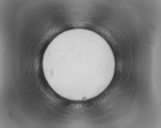 X0000111130687200907281051