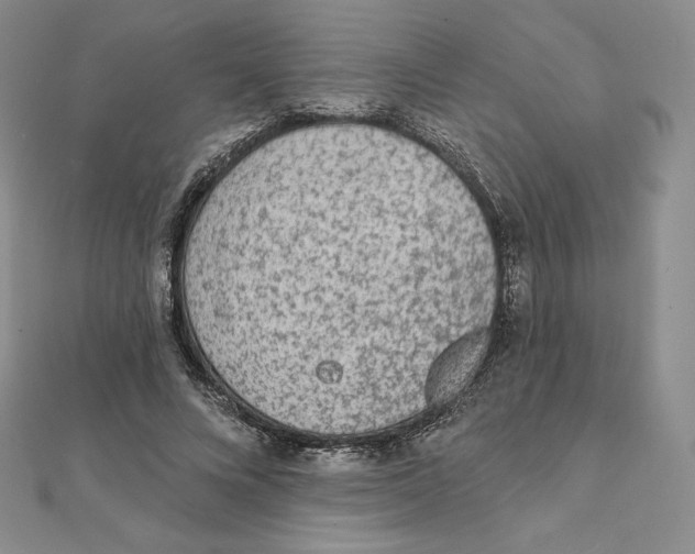 X0000111130688200907281051